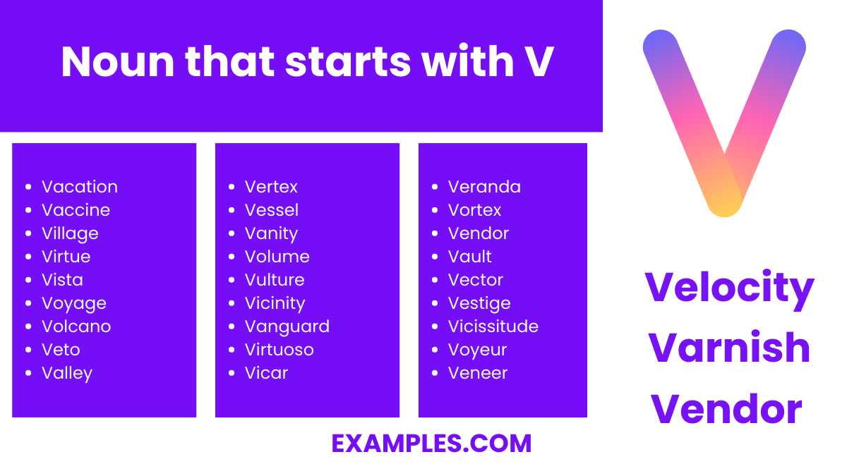 noun that starts with v