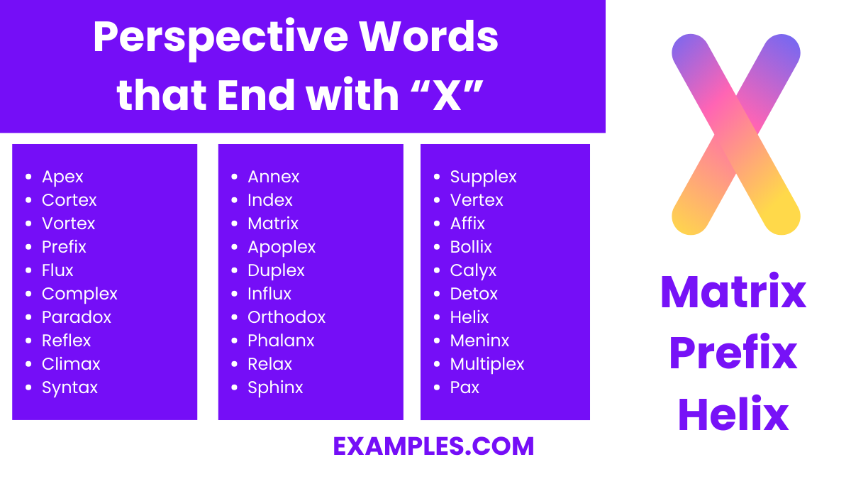 perspective word that end with x