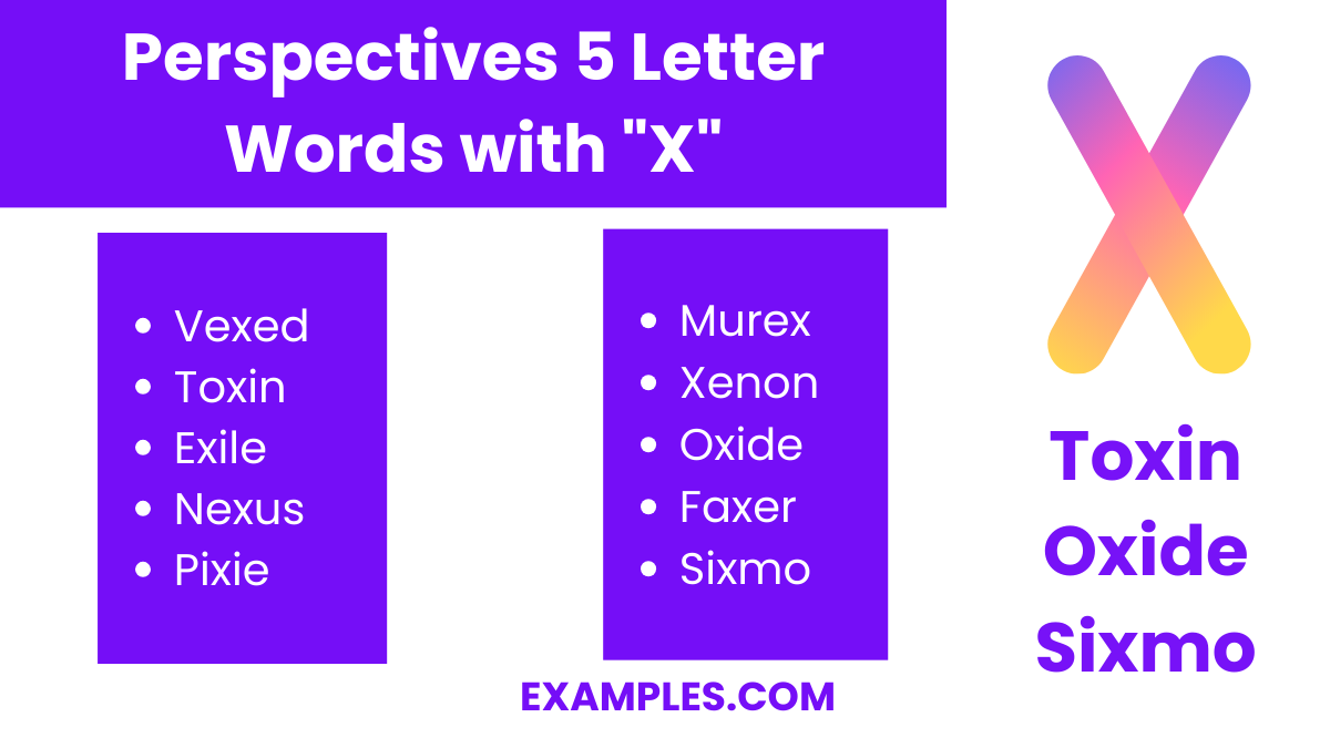 perspectives 5 letter words with x