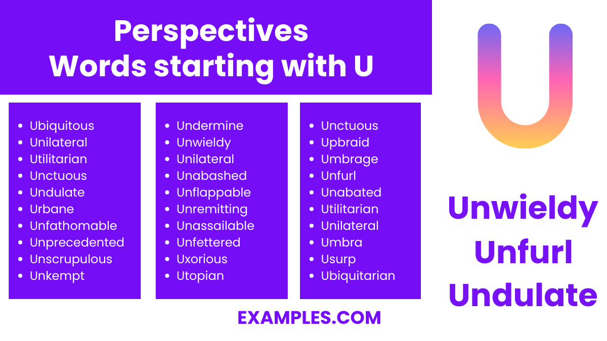 perspectives words starting with u