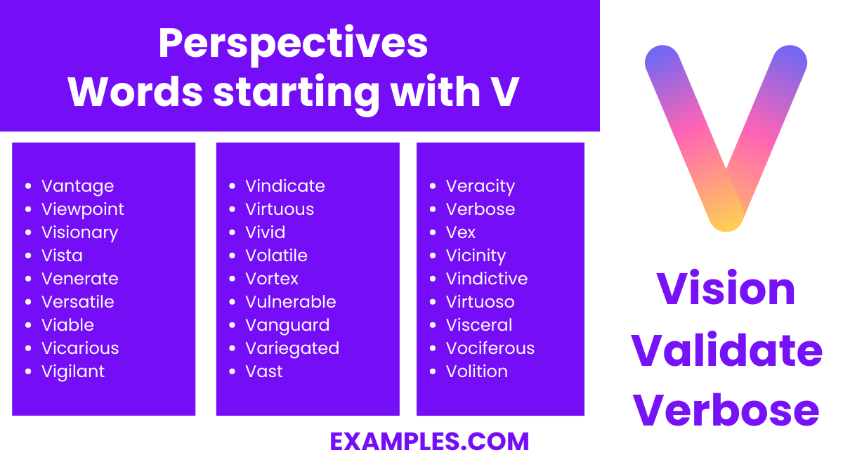 perspectives words starting with v