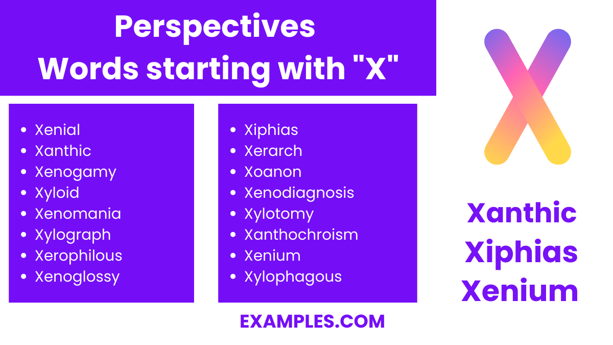 perspectives words starting with x