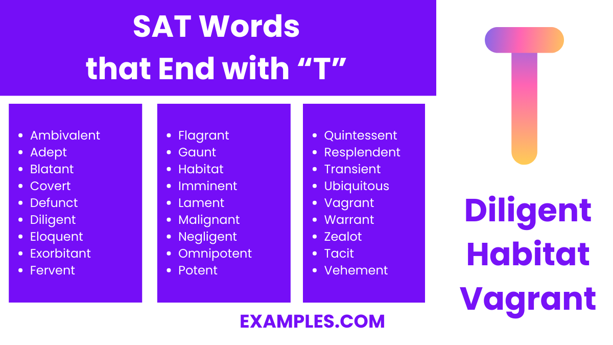 sat word that end with t