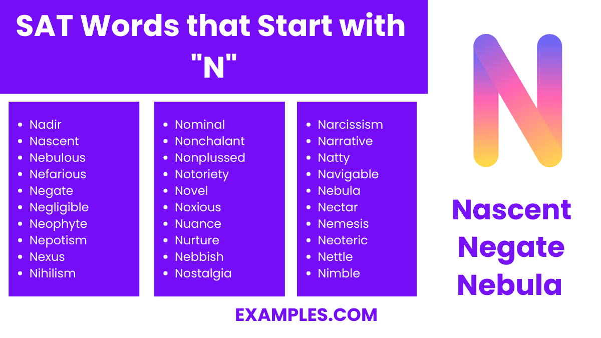 sat words that start with n