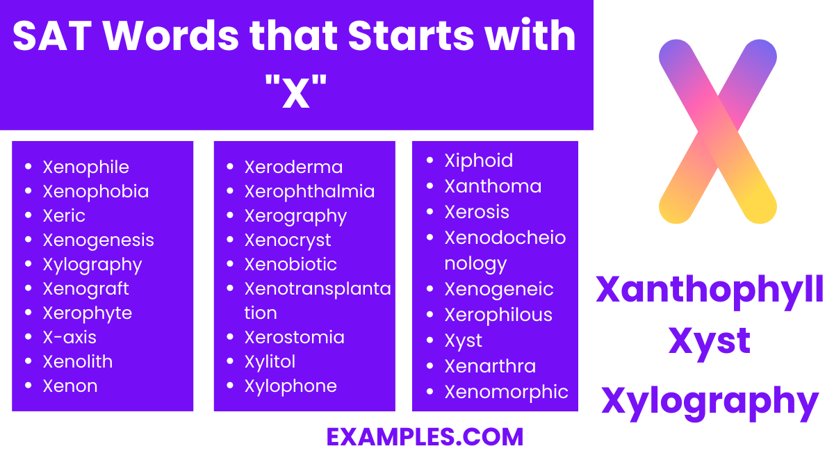 sat words that start with x