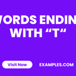 Words Ending With T