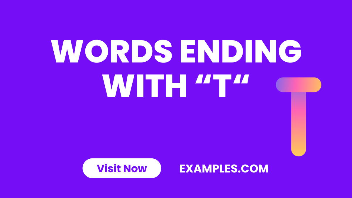 Words Ending With T