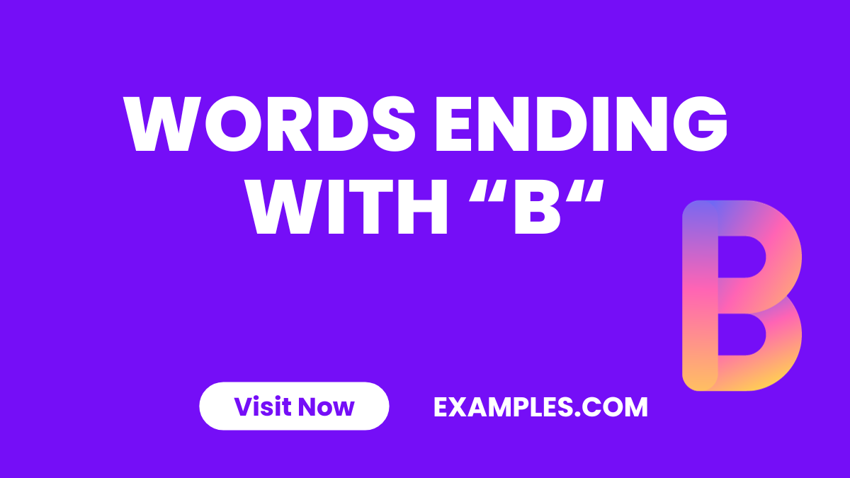 Words Ending with B