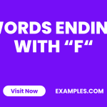 Words Ending with F