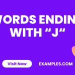 Words Ending with J