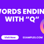 Words Ending with Q