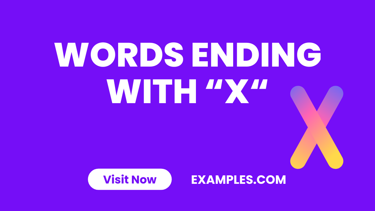 Words Ending with X