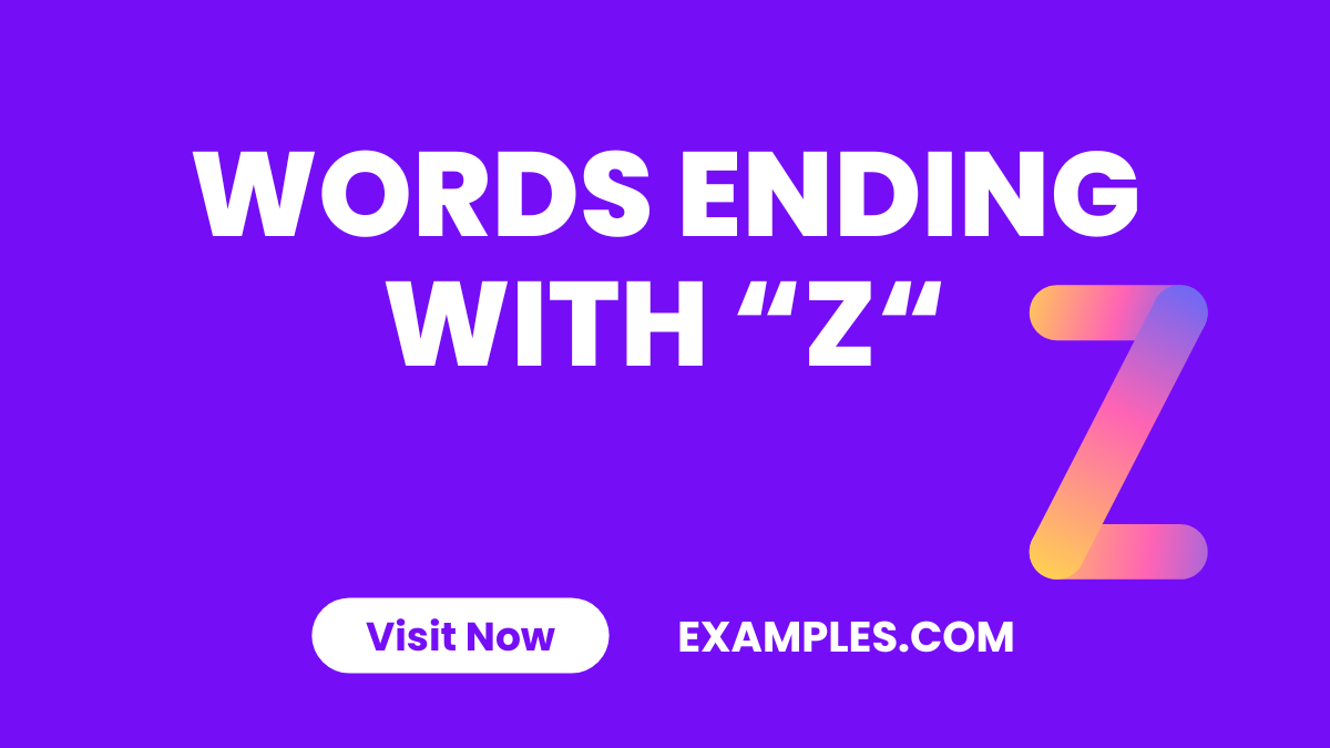 Words Ending with Z