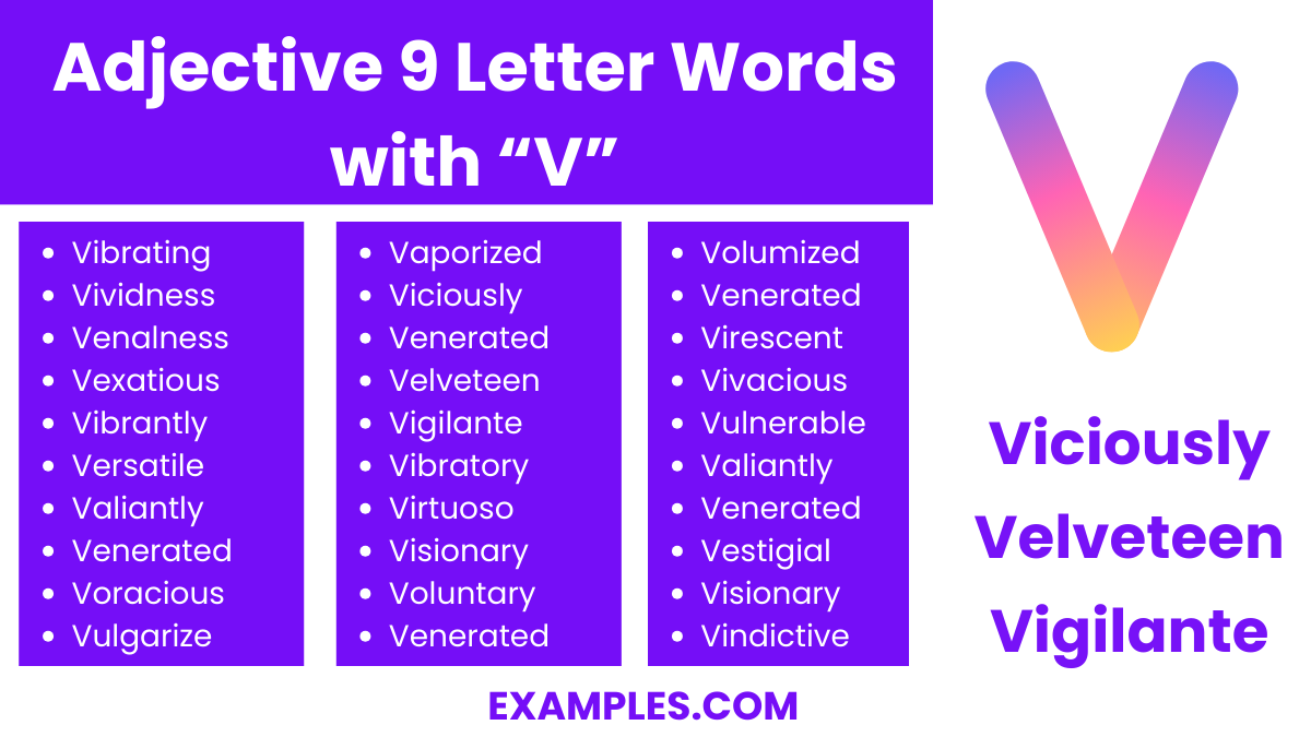 adjective 9 letter words with v 3