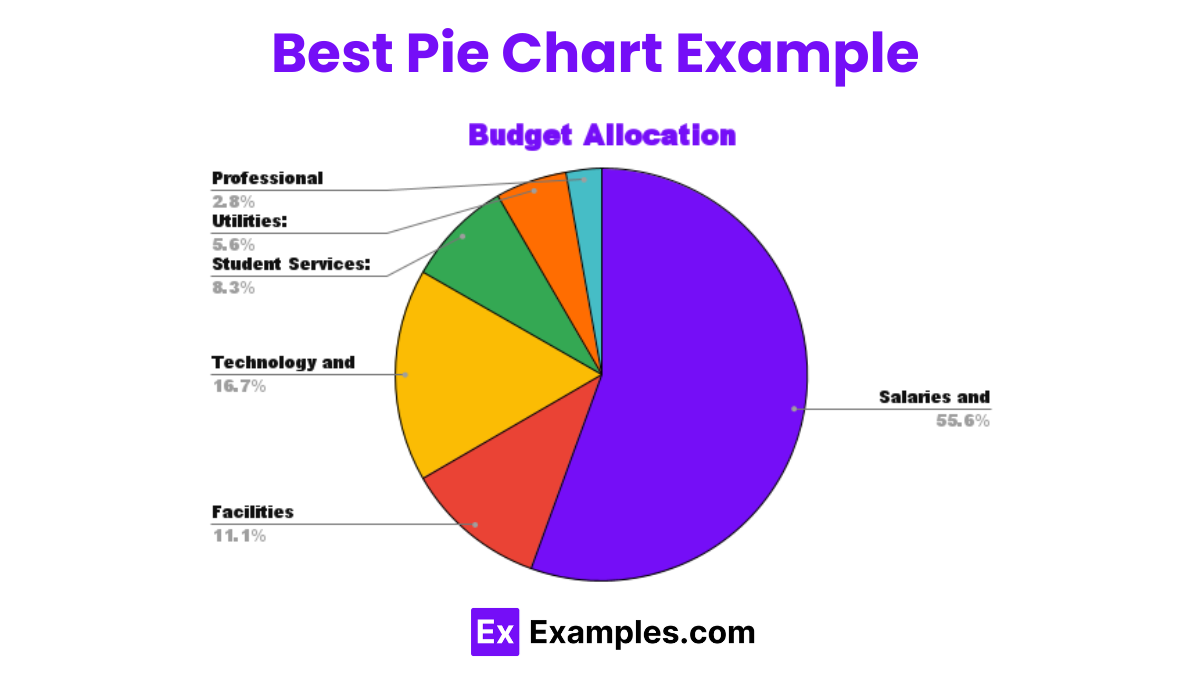 best pie chart example 