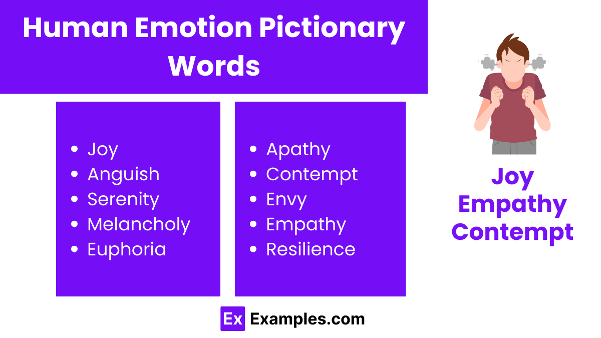 human emotion pictionary words