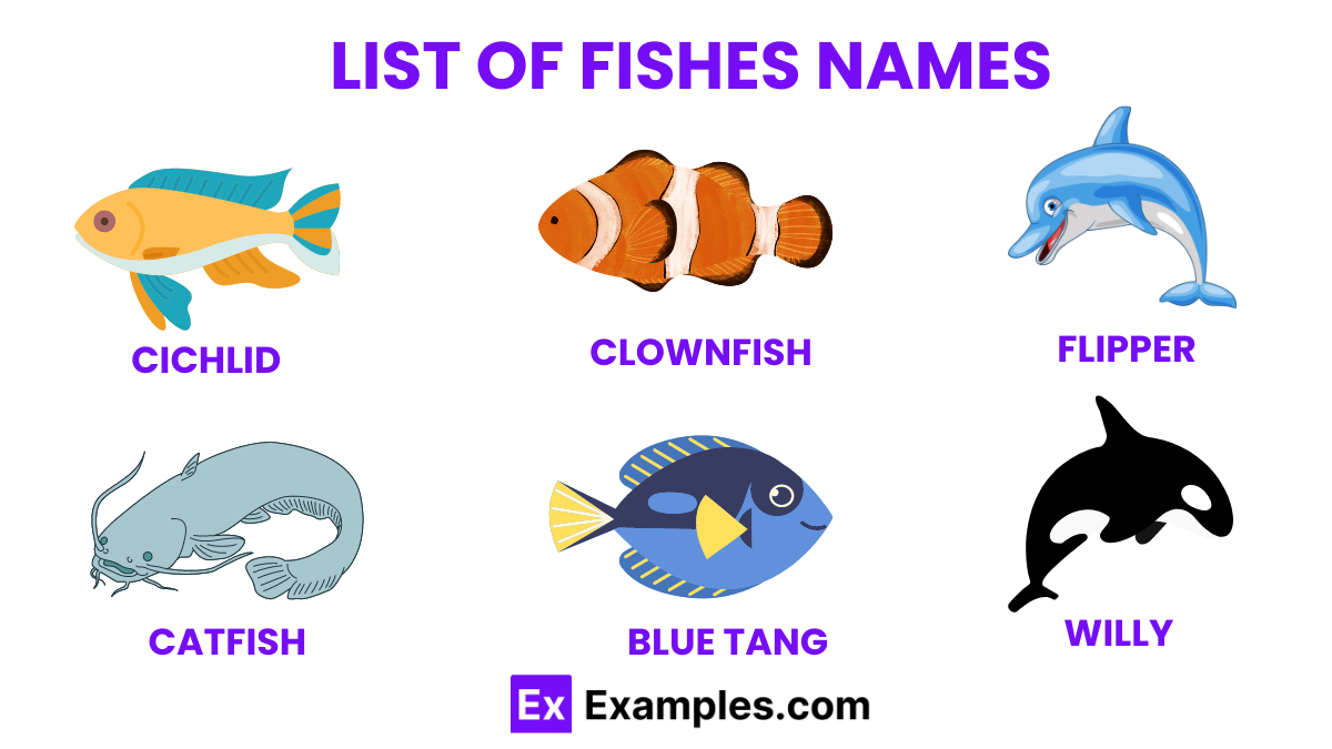 Fish Names 50+ Pet Fish Names, Ideas, Meaning.