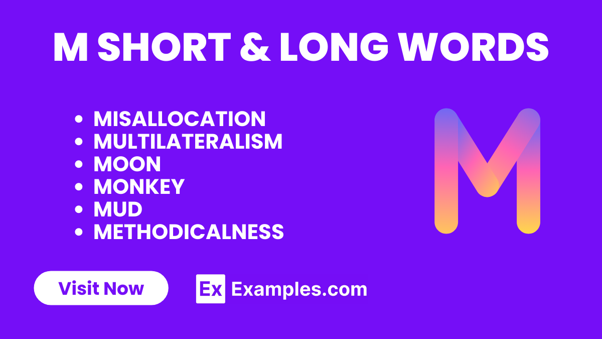 Short and Long Adjectives 