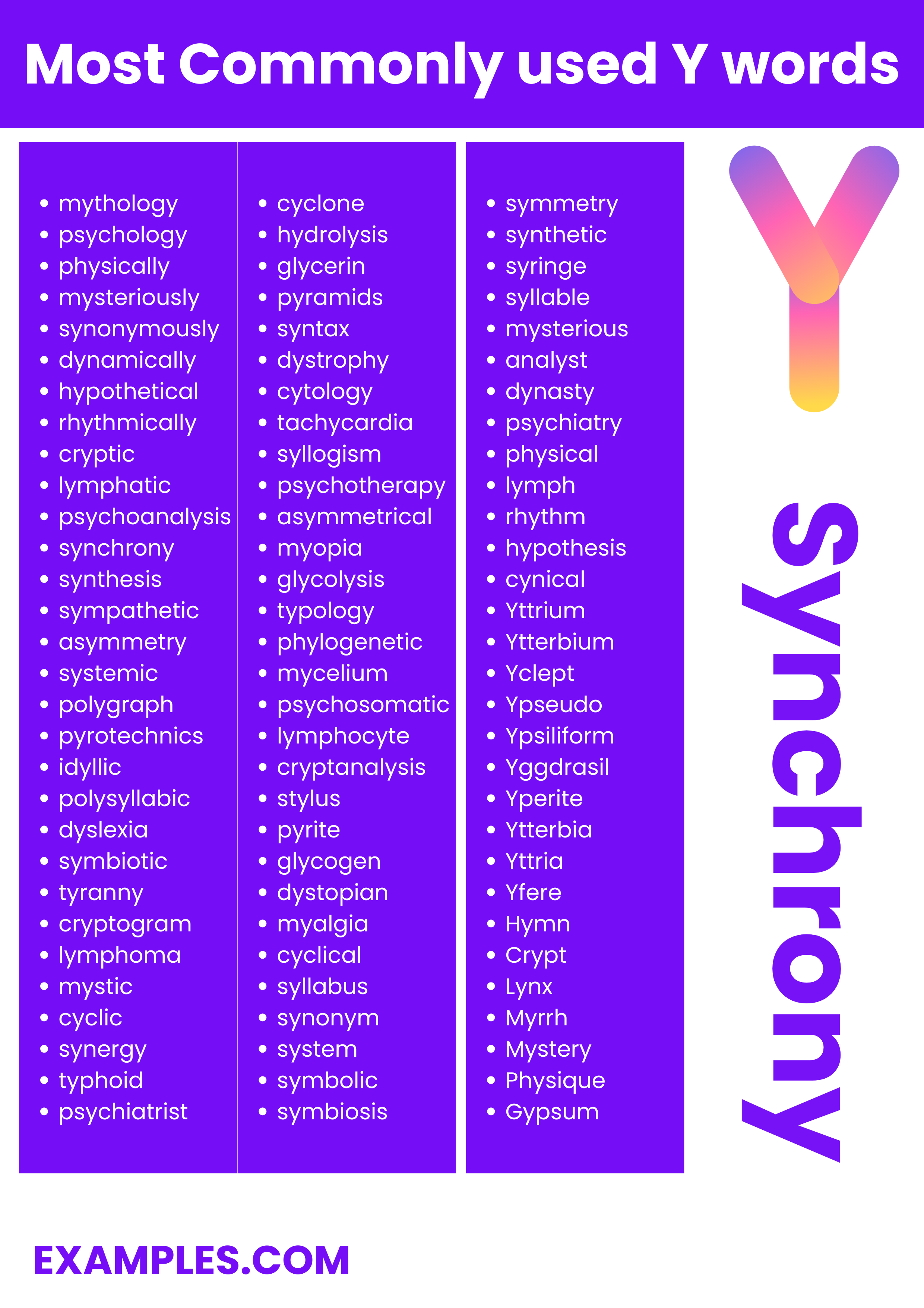 most commonly used y words 1