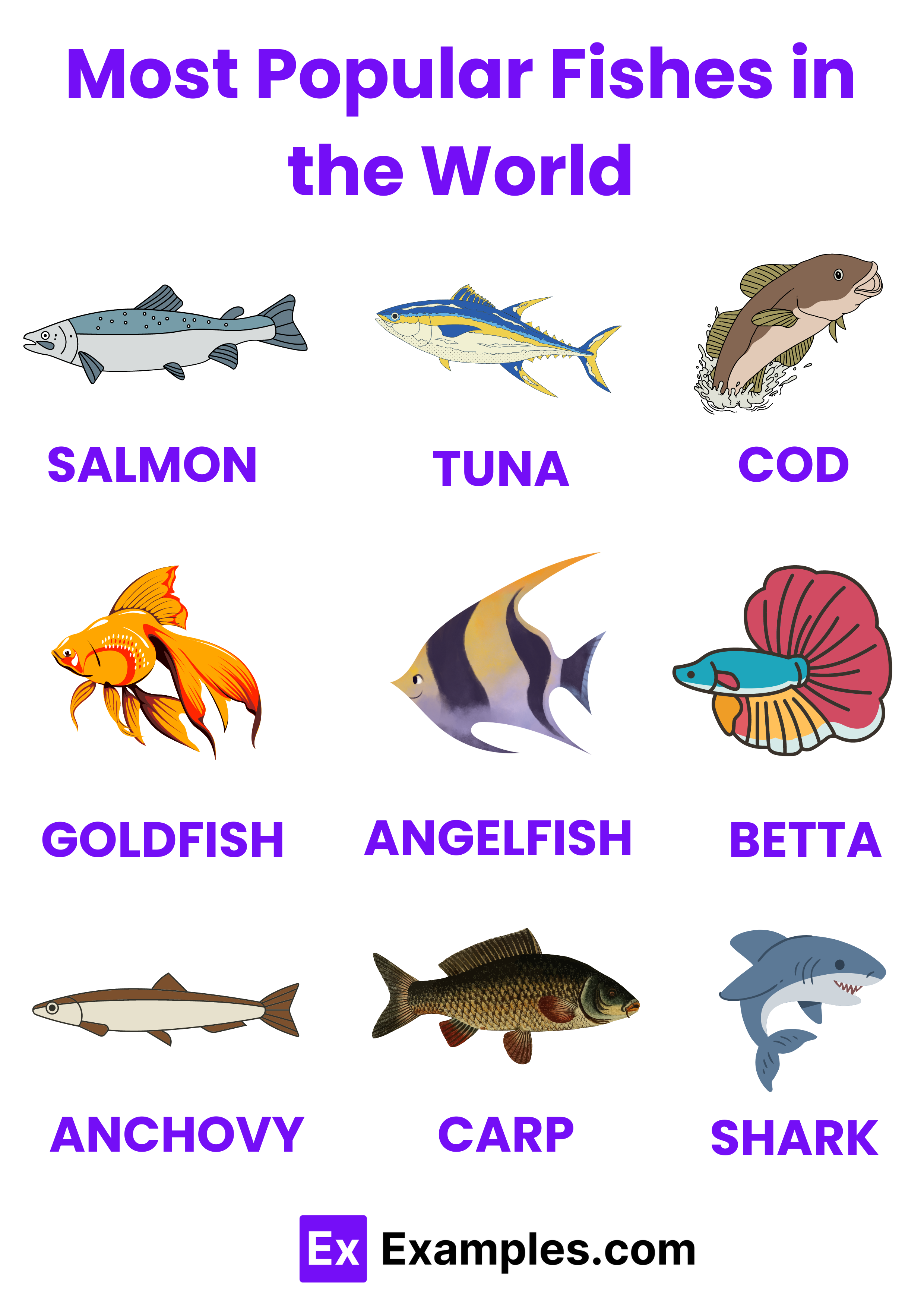 Fish Names - 50+ Pet Fish Names, Ideas, Meaning.