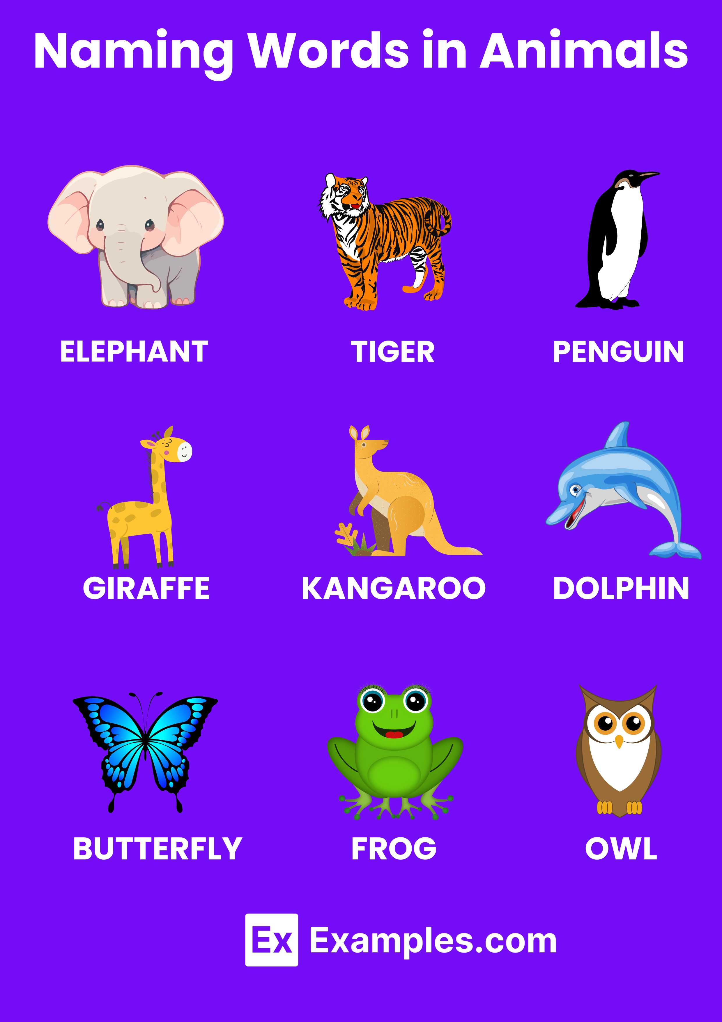 Naming Words in Animals