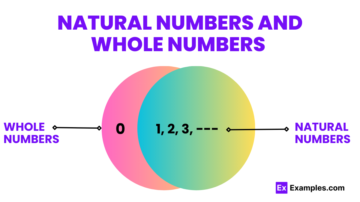 natural numbers and whole numbers 