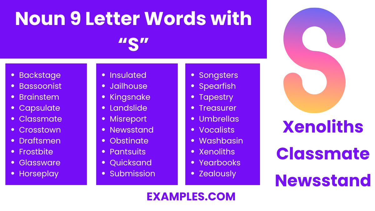 noun 9 letter words with s