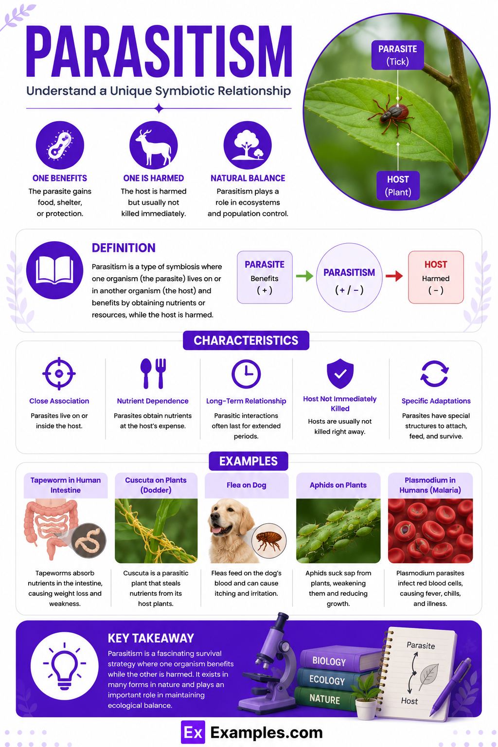 20+ Parasitism Examples