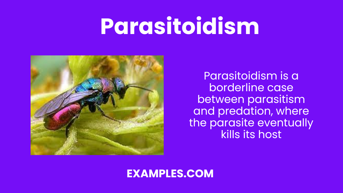 parasitoidism