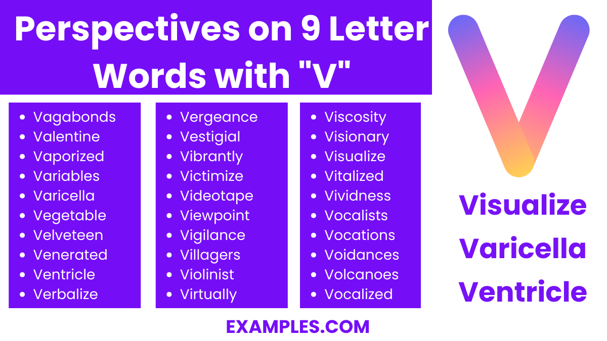 perspectives on 9 letter words with v
