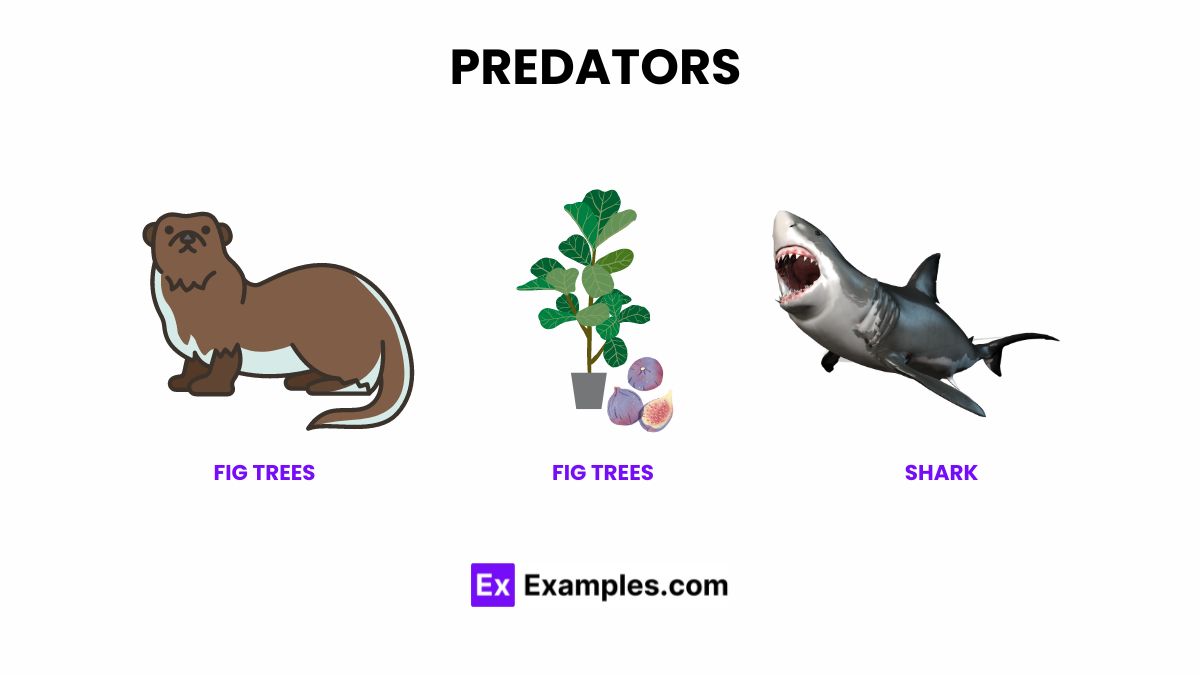 Keystone Species, Definition, Predators, Mutualists, Ecosystem Engineering