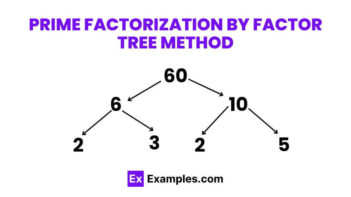 Prime Factorization by Factor Tree Method