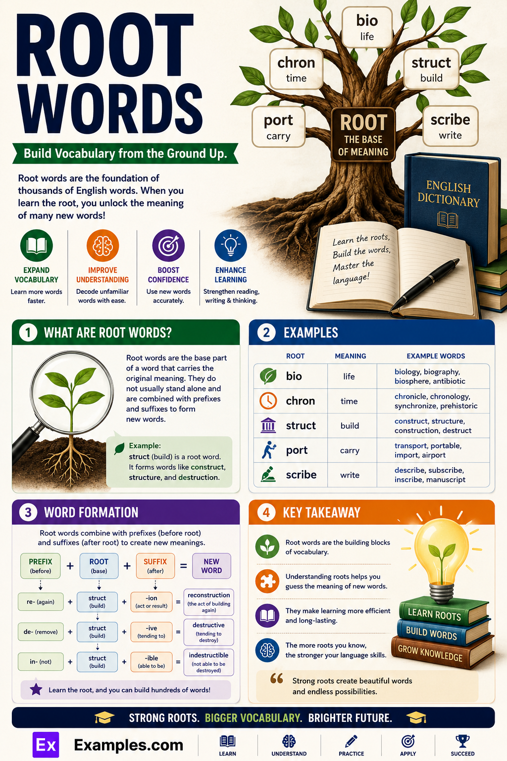 450+ Root Words List, Meaning, PDF