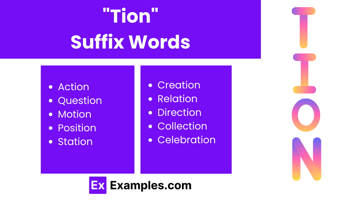 tion suffix words 2