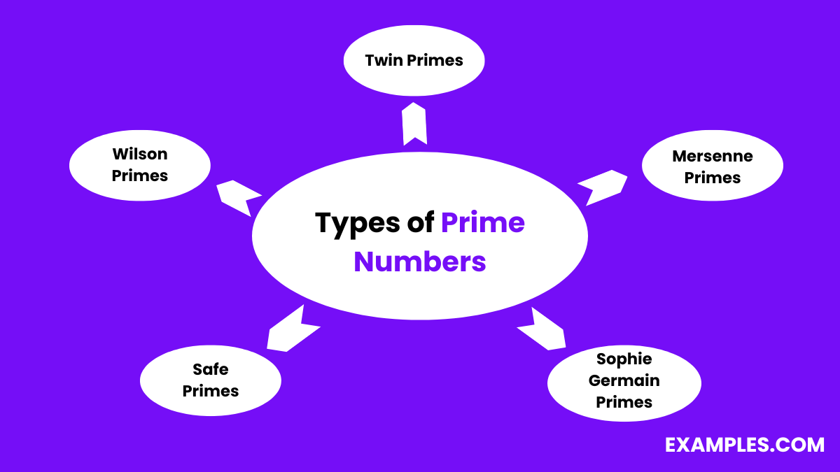 types of prime numbers