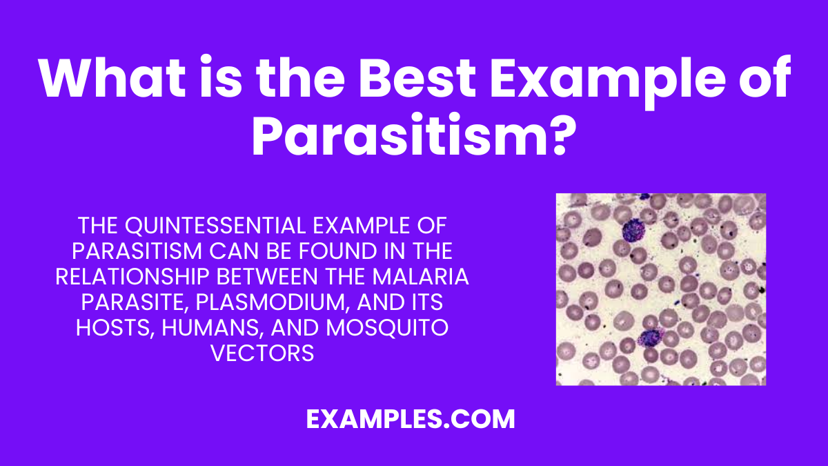 what is the best example of parasitism