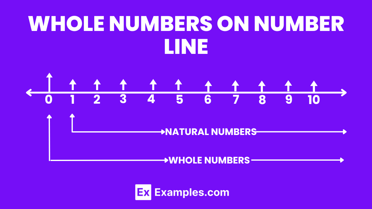whole numbers on number line