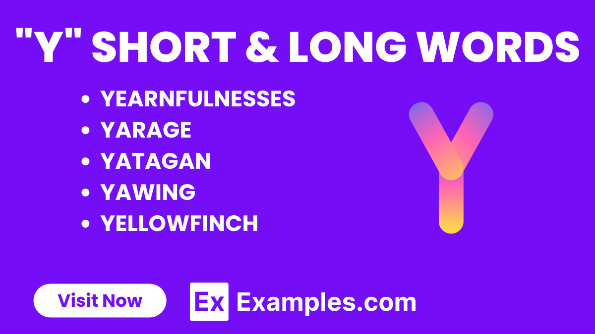 450+ Y Short & Long Words, Meaning, PDF