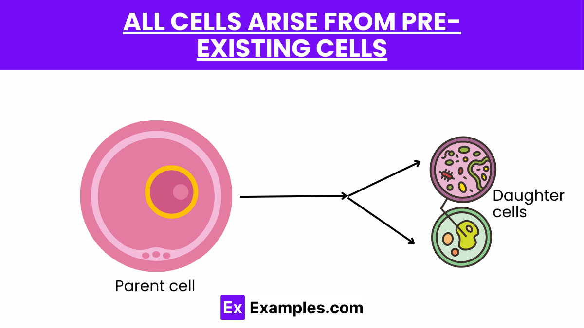 Who Said All Cells Come From Preexisting Cells Cell Theory - History and Contribution of Cell Theory, Parts of Cell