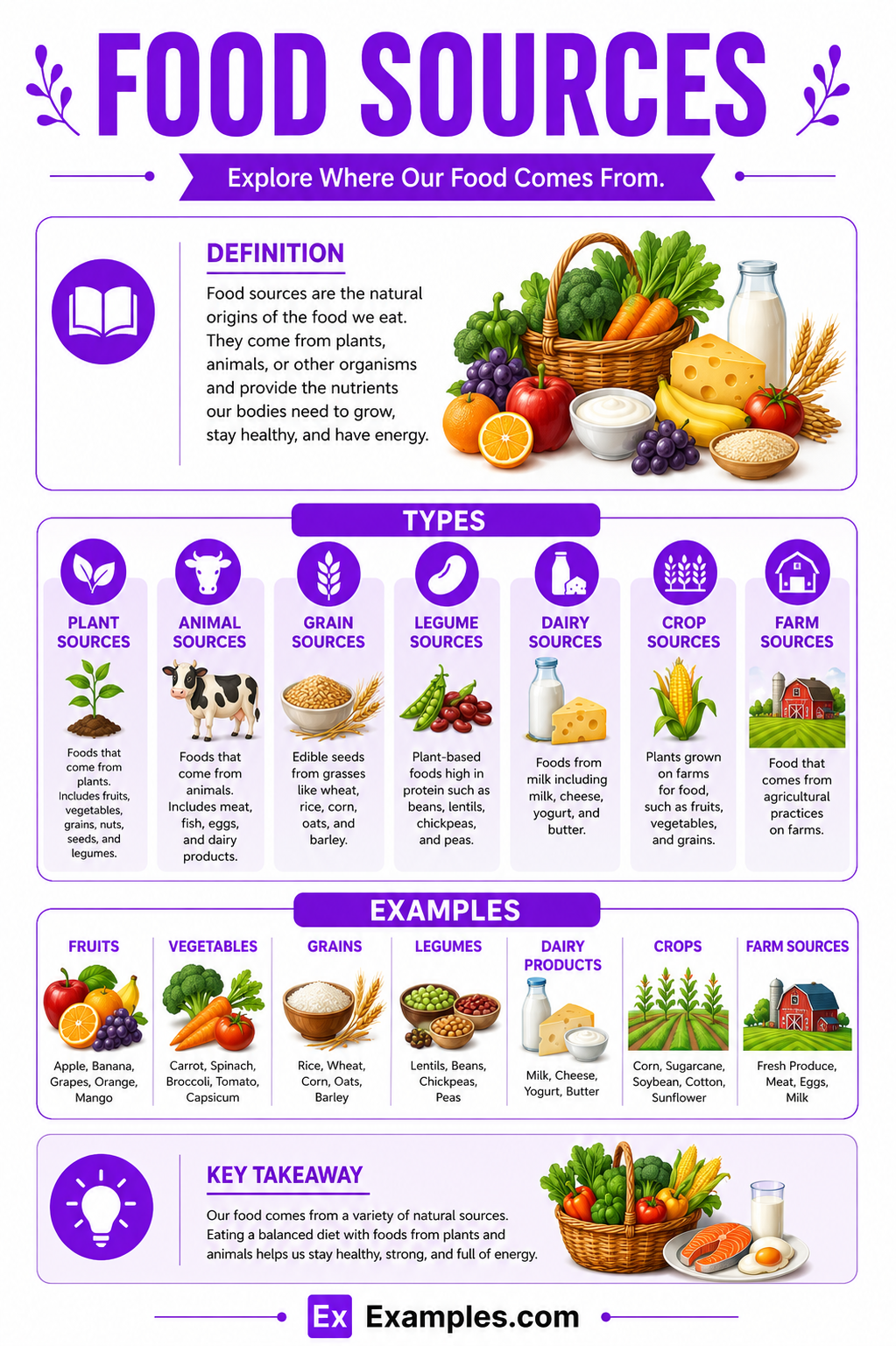 Food Sources – Definition, Foods from Plants, Foods from Animals, FAQS