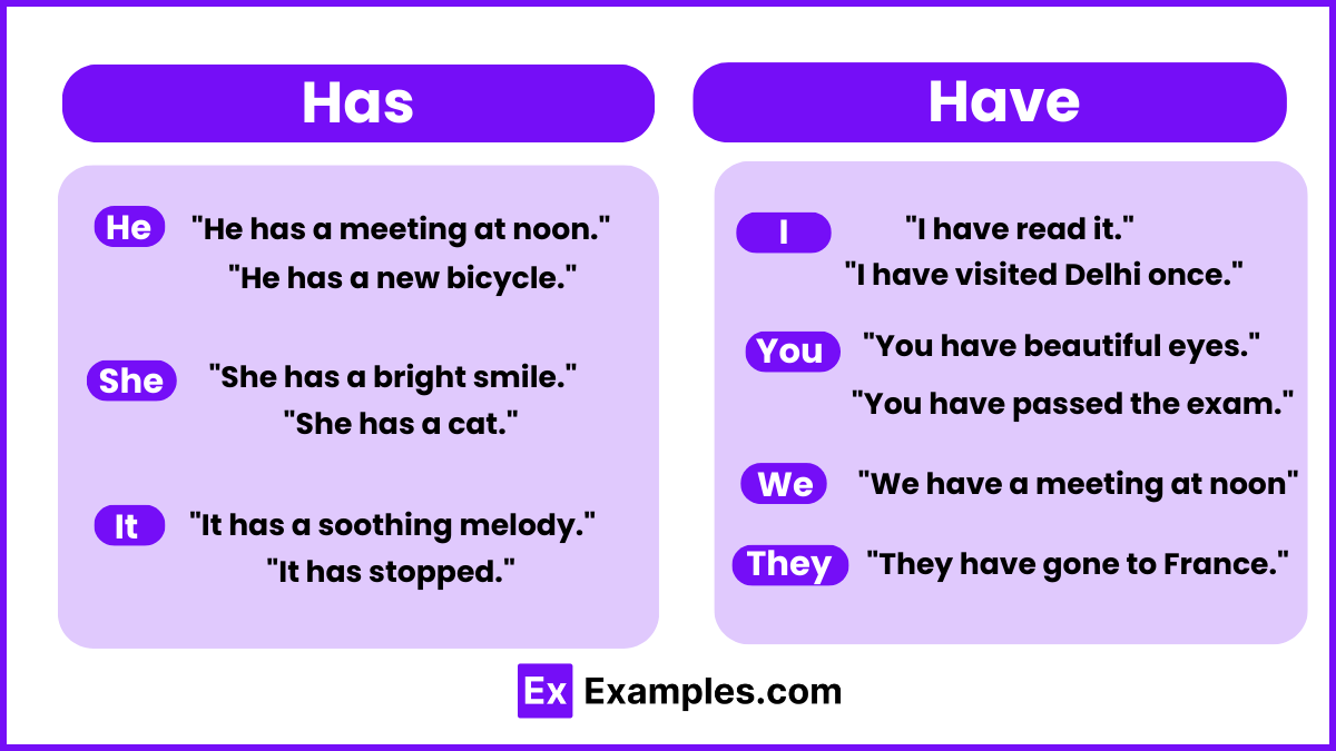 has-vs-have-examples-differences-usage