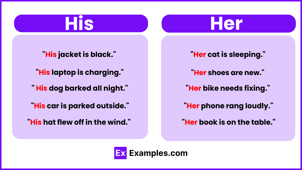 His vs Her Examples