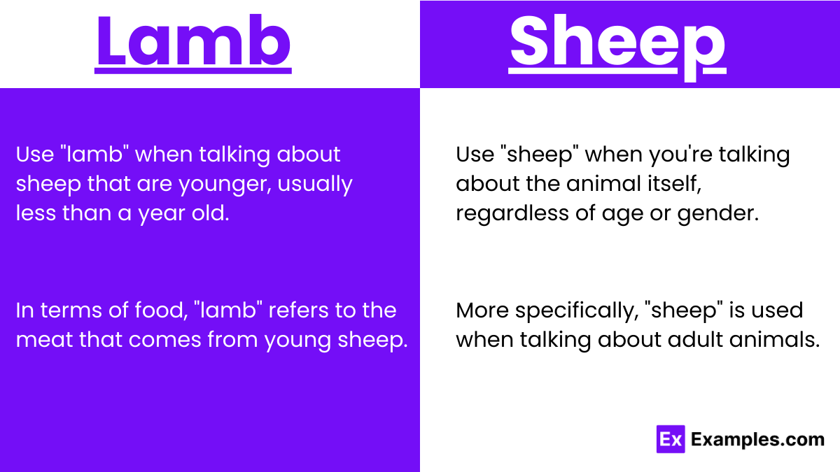 Iamb vs sheep usage