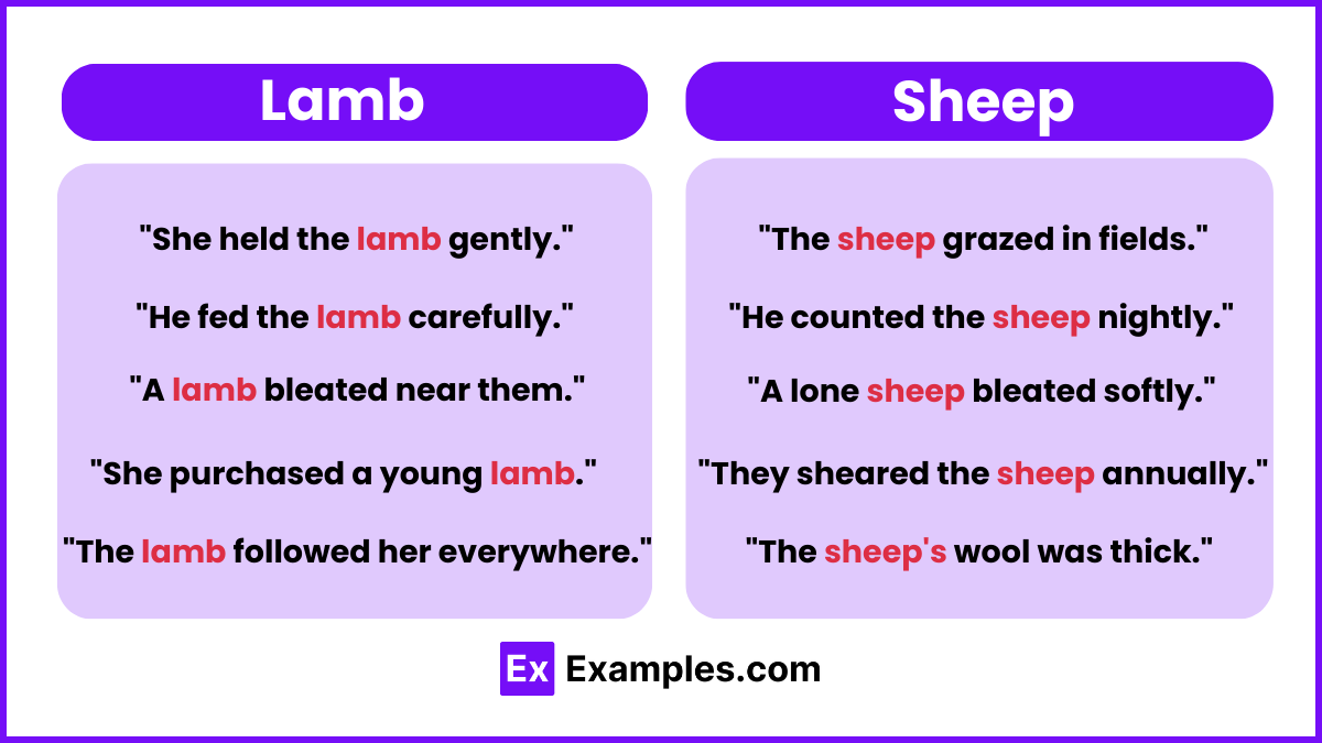 Lamb vs Sheep Examples