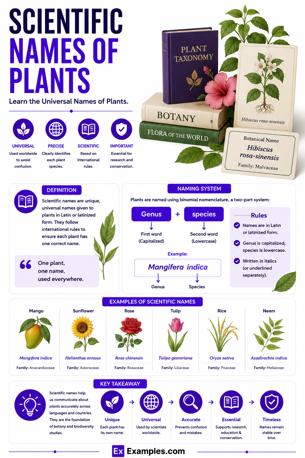 Scientific Names of Plants, Lists, Uses, FAQ