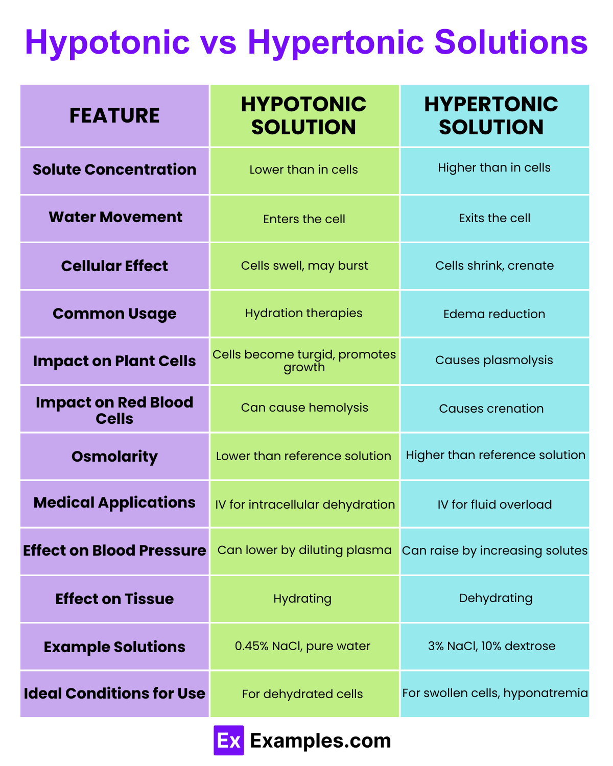 Differences Between Hypotonic and Hypertonic Solutions