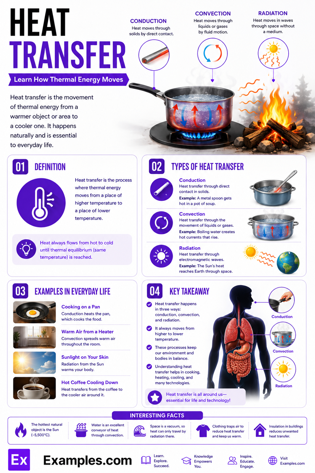 Heat Transfer – Examples, Definition, Principles, Types, Application