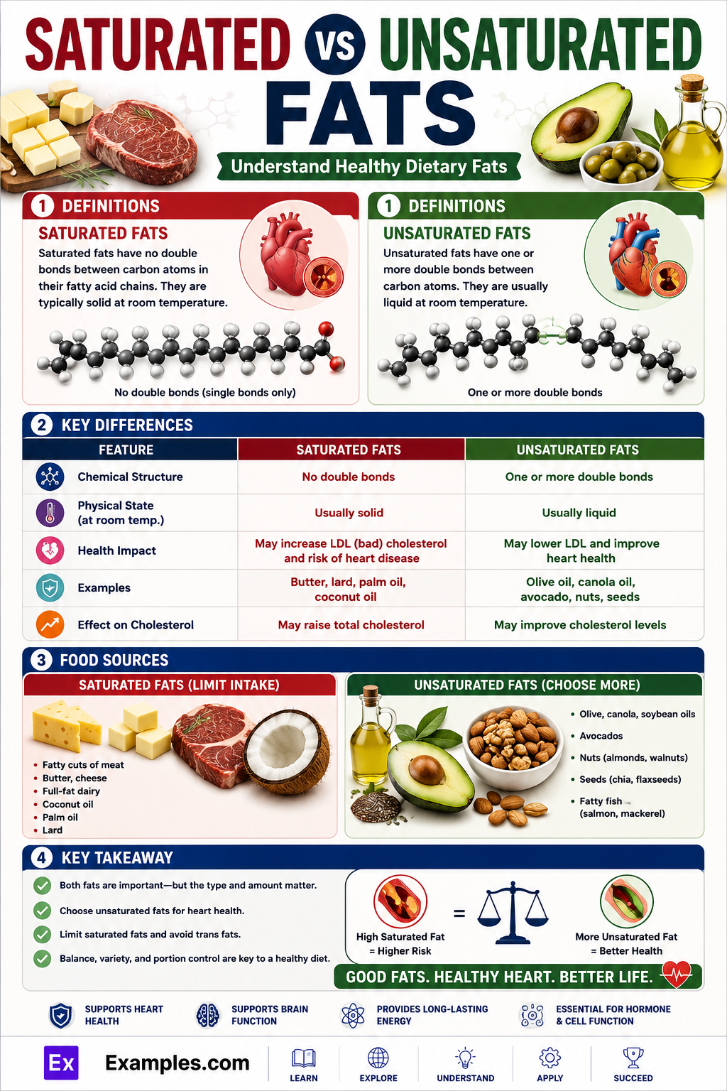 Saturated and Unsaturated Fats Explained – Benefits, Key Differences
