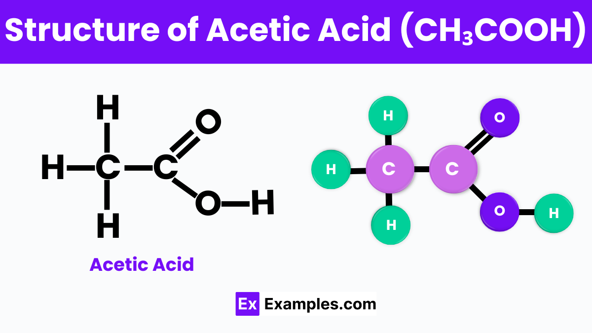 Structure of Acetic Acid (CH₃COOH)