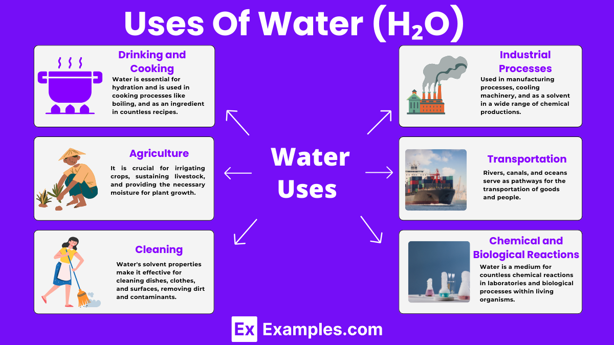 Uses Of Water (H₂O)